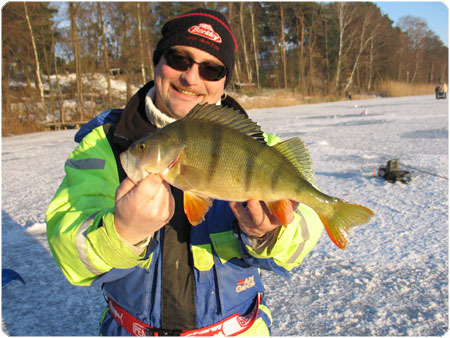 Großer Barsch beim Eisangeln gefangen