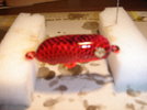 dsc00411.jpg