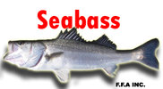 seabass.jpg