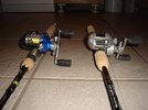 piketimei_revo_stx___daiwa_vertical_viento.jpg