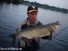 74er_rapfen_auf_walleye_assassin.jpg