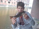 barsch2_524.jpg