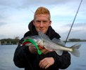DSC_5307777.jpg DSC_5307777.jpg