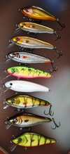 Lagatzo Crankbaits 23_03_14.JPG