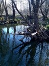 20200418_094501.jpg