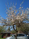IMG_20200422_164232.jpg