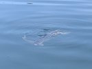 IMG_7364.jpg