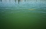 IMG_20200515_081630.jpg