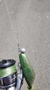 IMG_20200521_112623.jpg IMG_20200521_112623.jpg