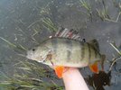 IMG_20120130_020702.jpg IMG_20120130_020702.jpg