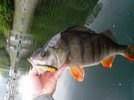 IMG_20120130_025046.jpg IMG_20120130_025046.jpg