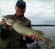 20140524_081749.jpg 20140524_081749.jpg
