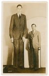 Robert_Wadlow_postcard.jpg