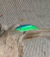 IMG_20200809_185120.jpg