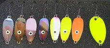 20200813_194819.jpg