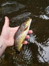 20200905_172610.jpg 20200905_172610.jpg