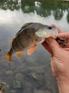 20200906_165213.jpg