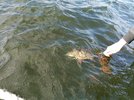 IMG_20200906_165223.jpg