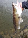 Zander 101cm2.jpg