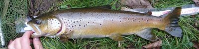 DSC_0454.JPG DSC_0454.JPG