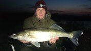 Zander 70 cm Weser.jpg