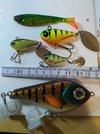 IMG_20201008_151144.jpg