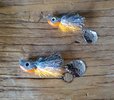 20201025_183118.jpg