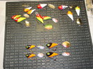 DSC00001.JPG
