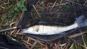 20201103_194715.jpg
