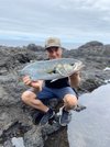 Bluefish Mittel (2).JPEG Bluefish Mittel (2).JPEG