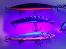 IMG_20201111_092214.jpg