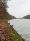 IMG_20201121_124511_1.jpg