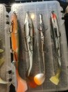 IMG_20201129_101051.jpg