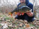 IMG_20201129_125516.jpg
