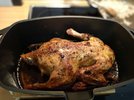 IMG_20201211_213933287.jpg