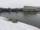 Donau - Bittenbrunn - 20150215 - 7.jpg Donau - Bittenbrunn - 20150215 - 7.jpg