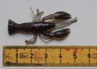 DSCN3509.jpg DSCN3509.jpg