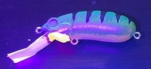 20201218_105523.jpg