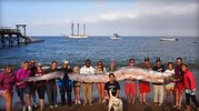 giant-oarfish.jpg