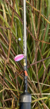EB2BCE7F-066C-4525-8CE4-B4A0D5C9DA56.png
