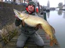 IMG-20161231-WA0015.jpg IMG-20161231-WA0015.jpg
