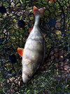 20201217_105828.jpg