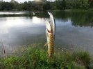 20150825_071040.jpg 20150825_071040.jpg