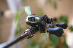 01_LowRes (001 von 002).jpg