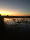 302783F8-16FE-4249-BD65-67893423B325.jpeg