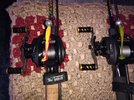 IMG_20210318_180037710.jpg