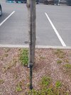 IMG_20210418_131737741.jpg