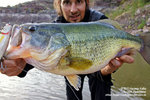 Black-Bass-16-4-15.jpg Black-Bass-16-4-15.jpg