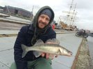 IMG-20160205-WA0012.jpg IMG-20160205-WA0012.jpg