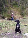 ImageUploadedByTapatalk1455573884.063346.jpg